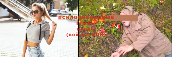 каннабис Арсеньев